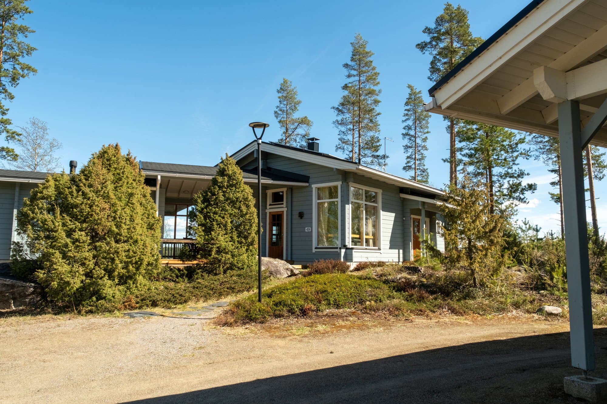 Oravi Pääsky kuva 5
