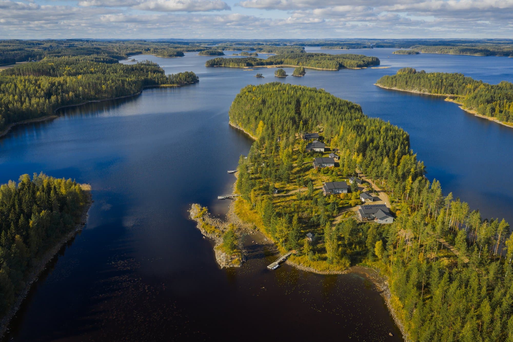Tallusniemi Kuha kuva 2